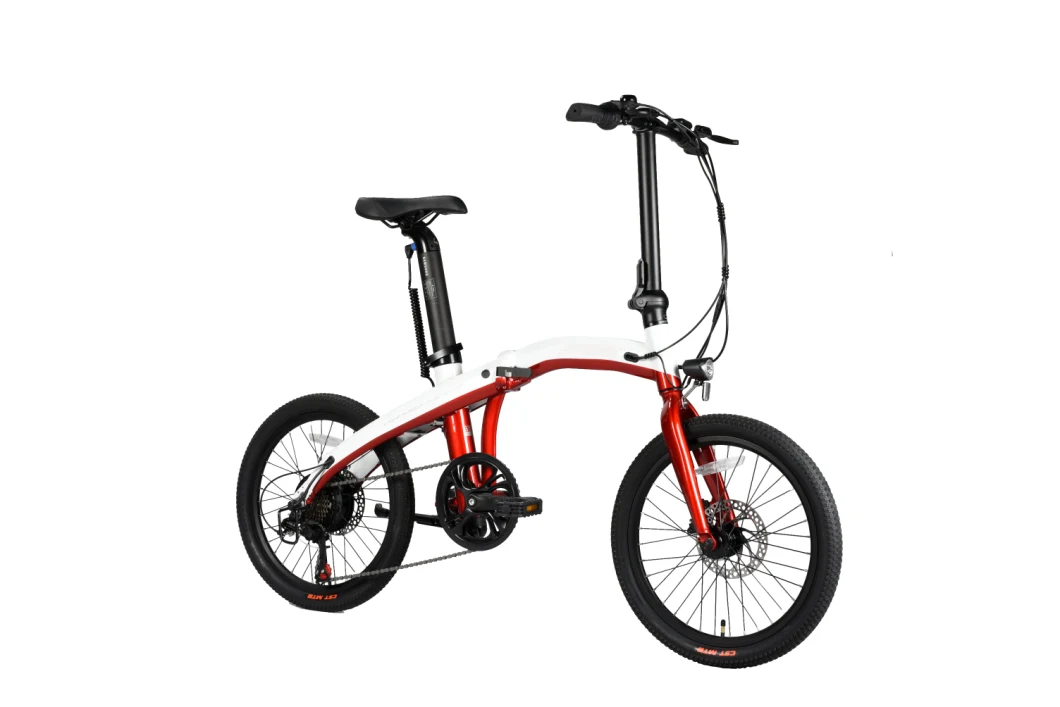 Female 20 Inch Hight Folding Electric City Bicycle with 250W Brushless Motor 160 Disc Brake