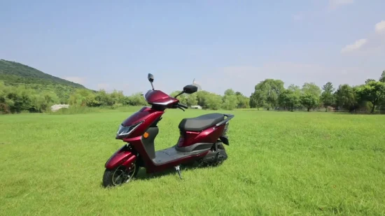 Flymate China Fabricante Motocicleta eléctrica CKD para adultos barata de alta velocidad