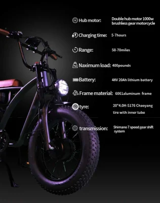 Bicicleta eléctrica de alta calidad 20 pulgadas Dual Hub 1000W Motor, 20 