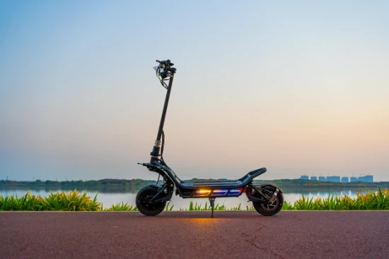 Almacén de la UE Nami E2 60V 5000W Dos ruedas E-Scooter plegable portátil