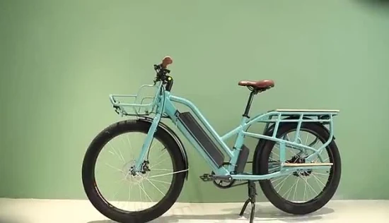 Entrega de carga de alimentos al aire libre E-Bicycle Singel Gear Bicicletas electrónicas Precio de fabricación Envío directo