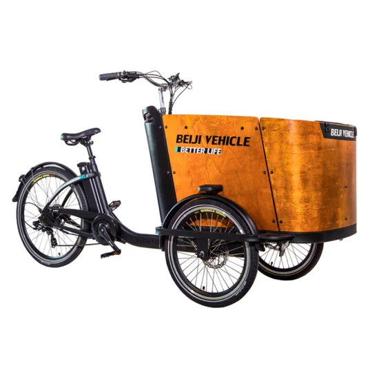 Triciclo de carga familiar, marco de acero y caja de madera impermeable, marco de bicicleta de aluminio, bicicleta eléctrica de carga de 3 ruedas a la venta